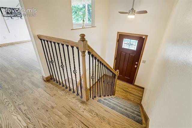 MLS Image for 2814  Ridgeglen  ,Colorado Springs, Colorado