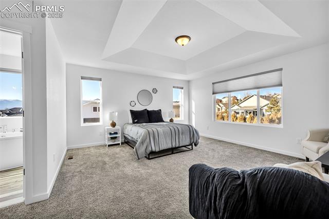 MLS Image for 2120  Seaglass  ,Colorado Springs, Colorado