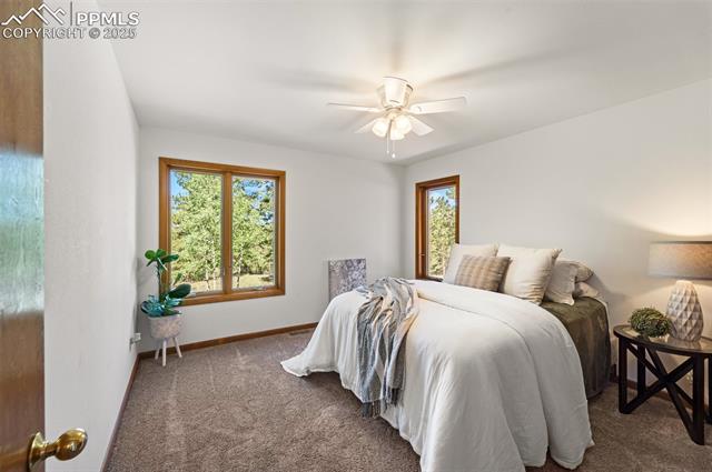 MLS Image for 330  Cottonwood Lake  ,Divide, Colorado