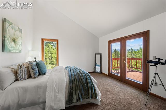 MLS Image for 330  Cottonwood Lake  ,Divide, Colorado