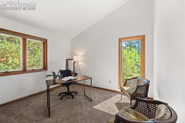 MLS Image for 330  Cottonwood Lake  ,Divide, Colorado