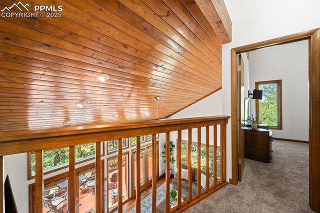 MLS Image for 330  Cottonwood Lake  ,Divide, Colorado