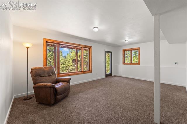 MLS Image for 330  Cottonwood Lake  ,Divide, Colorado