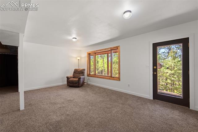 MLS Image for 330  Cottonwood Lake  ,Divide, Colorado
