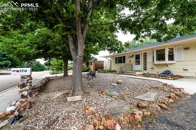 MLS Image for 3710  Windflower  ,Colorado Springs, Colorado