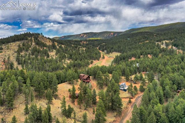 MLS Image for 2061  Spruce  ,Woodland Park, Colorado