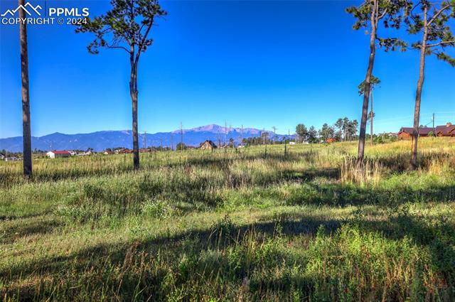 MLS Image for 6425  Vessey  ,Colorado Springs, Colorado