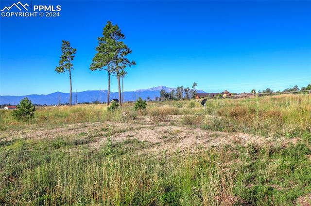 MLS Image for 6425  Vessey  ,Colorado Springs, Colorado