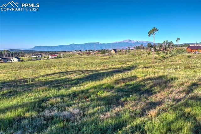 MLS Image for 6425  Vessey  ,Colorado Springs, Colorado