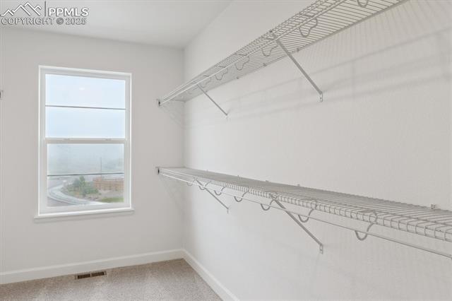 MLS Image for 16813  Starfall  ,Monument, Colorado