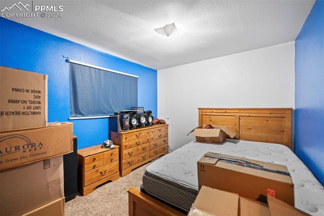 MLS Image for 3010  Fireweed  ,Colorado Springs, Colorado