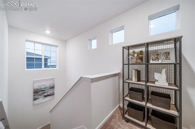 MLS Image for 5779  Bowerman  ,Colorado Springs, Colorado