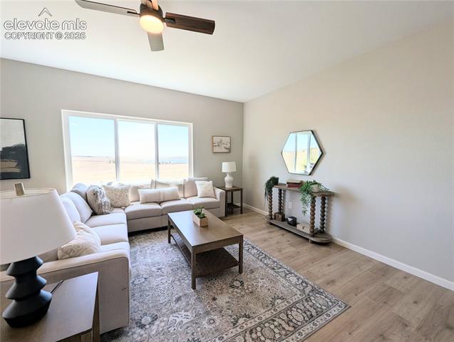 MLS Image for 6389  San Mateo  ,Colorado Springs, Colorado