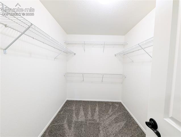 MLS Image for 6389  San Mateo  ,Colorado Springs, Colorado