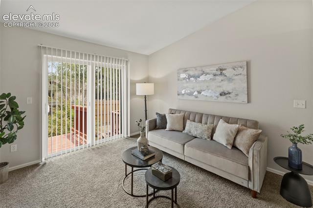 MLS Image for 718  Cima Vista  20 ,Colorado Springs, Colorado