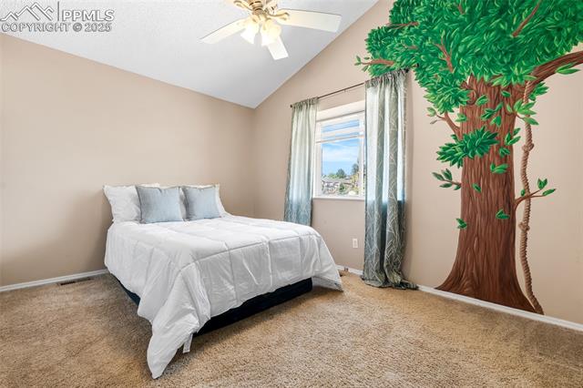 MLS Image for 7970  Candleflower  ,Colorado Springs, Colorado