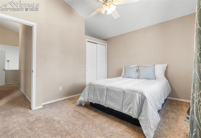 MLS Image for 7970  Candleflower  ,Colorado Springs, Colorado