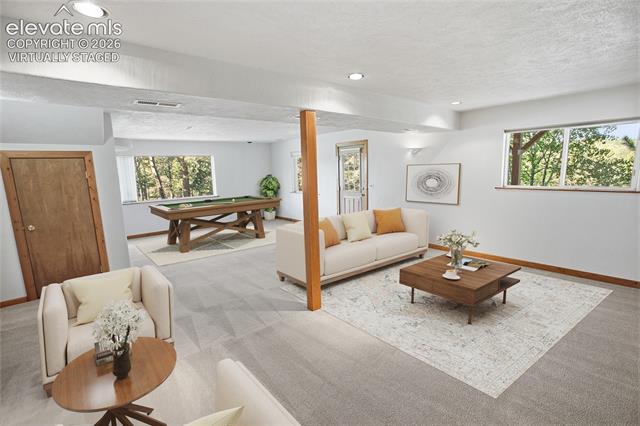 MLS Image for 355  Maroon Lake  ,Divide, Colorado