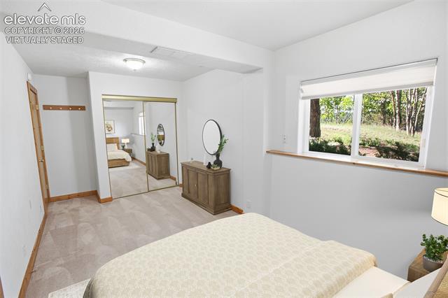 MLS Image for 355  Maroon Lake  ,Divide, Colorado