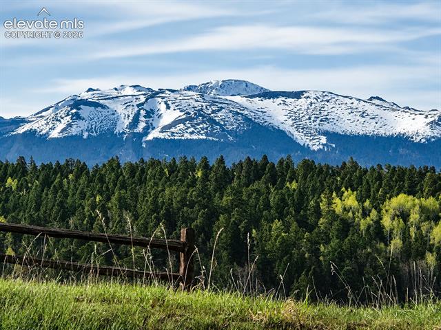 MLS Image for 355  Maroon Lake  ,Divide, Colorado