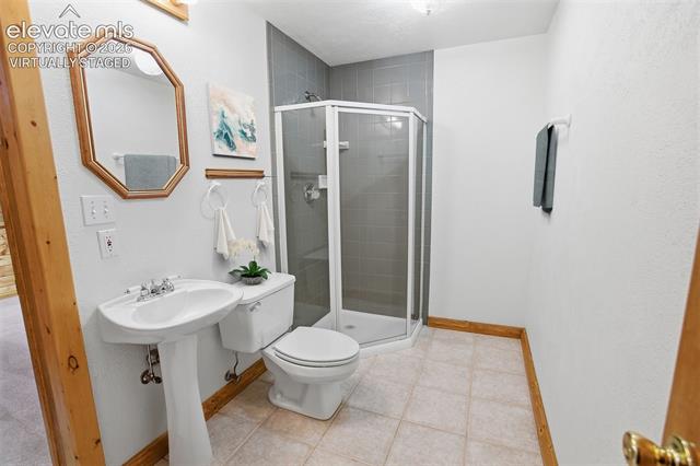 MLS Image for 355  Maroon Lake  ,Divide, Colorado
