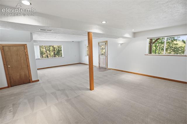 MLS Image for 355  Maroon Lake  ,Divide, Colorado