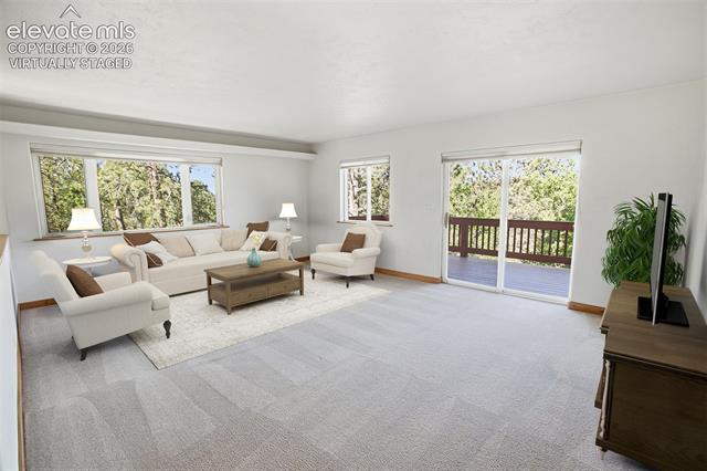 MLS Image for 355  Maroon Lake  ,Divide, Colorado