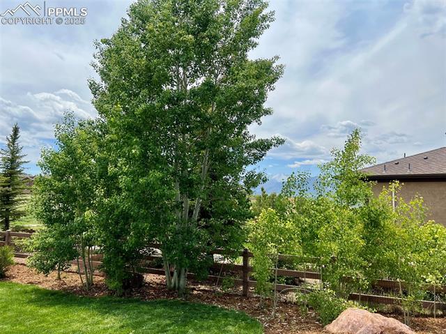 MLS Image for 13405  Cedarville  ,Colorado Springs, Colorado