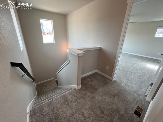 MLS Image for 17739  Lucky Penny  ,Monument, Colorado