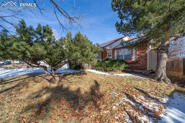 MLS Image for 7143  White Buffalo  ,Colorado Springs, Colorado