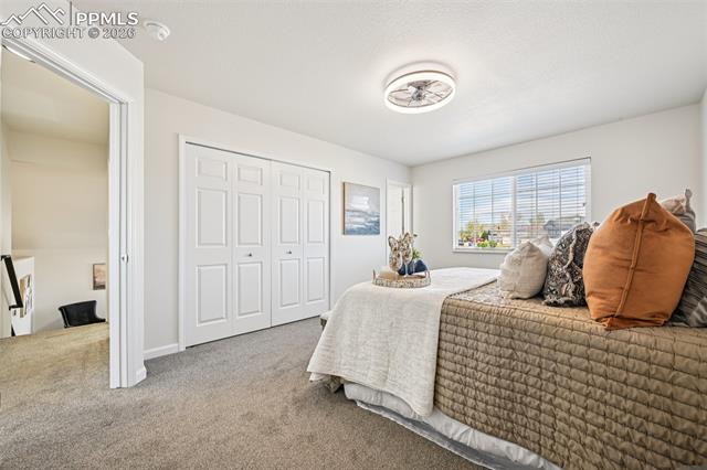MLS Image for 7386  Coral Ridge  ,Colorado Springs, Colorado
