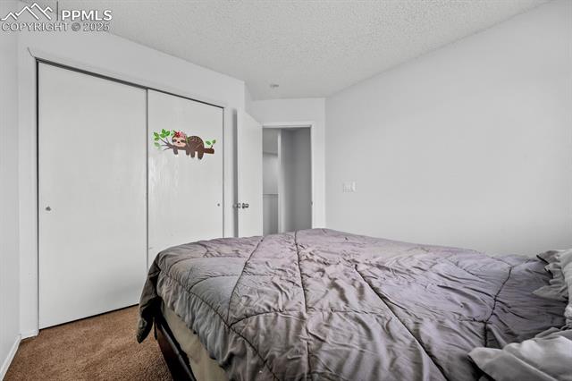 MLS Image for 245  Turf Trail  ,Fountain, Colorado