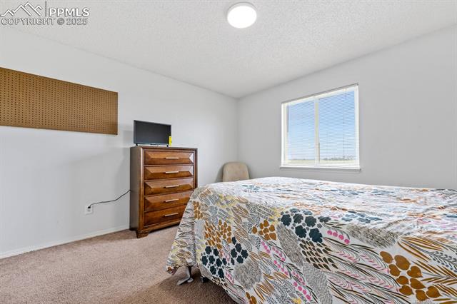 MLS Image for 245  Turf Trail  ,Fountain, Colorado