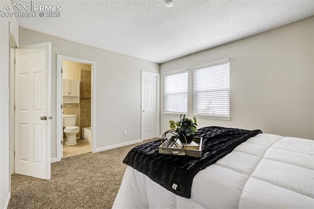 MLS Image for 4334  Allesandro  ,Colorado Springs, Colorado