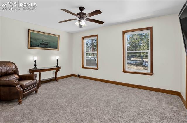 MLS Image for 4797  County Road 42  ,Divide, Colorado