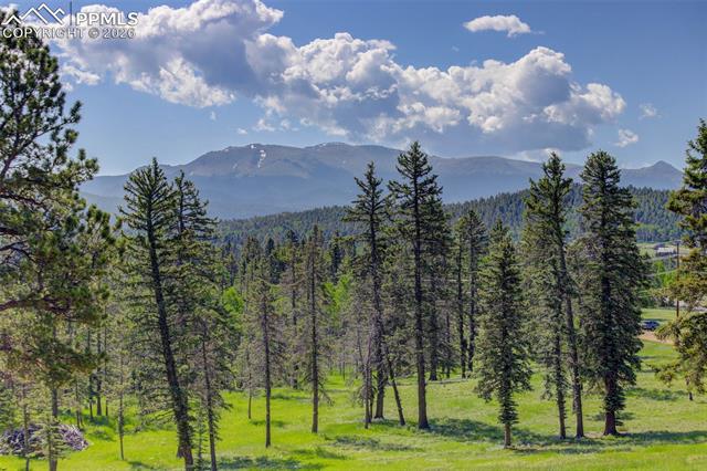 MLS Image for 4797  County Road 42  ,Divide, Colorado