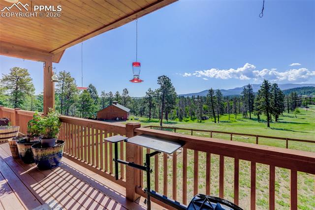 MLS Image for 4797  County Road 42  ,Divide, Colorado