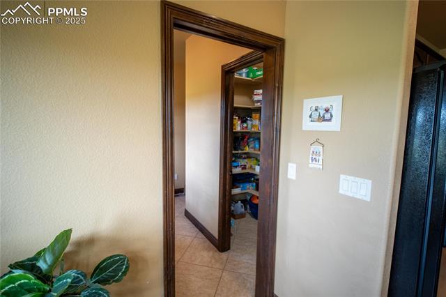 MLS Image for 16983  Carriage Horse  ,Colorado Springs, Colorado