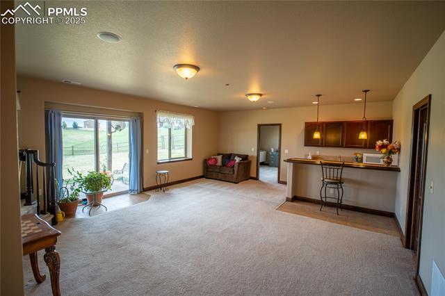 MLS Image for 16983  Carriage Horse  ,Colorado Springs, Colorado