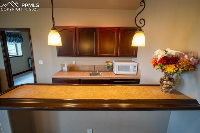 MLS Image for 16983  Carriage Horse  ,Colorado Springs, Colorado