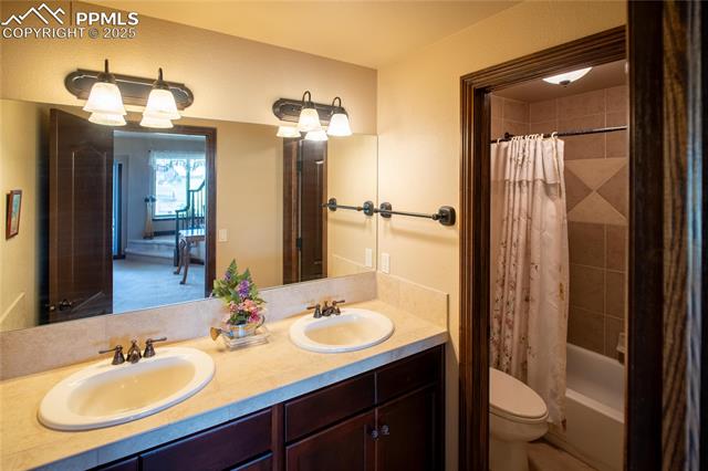 MLS Image for 16983  Carriage Horse  ,Colorado Springs, Colorado