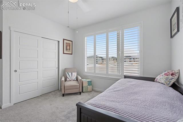 MLS Image for 9234  Gallery  ,Colorado Springs, Colorado