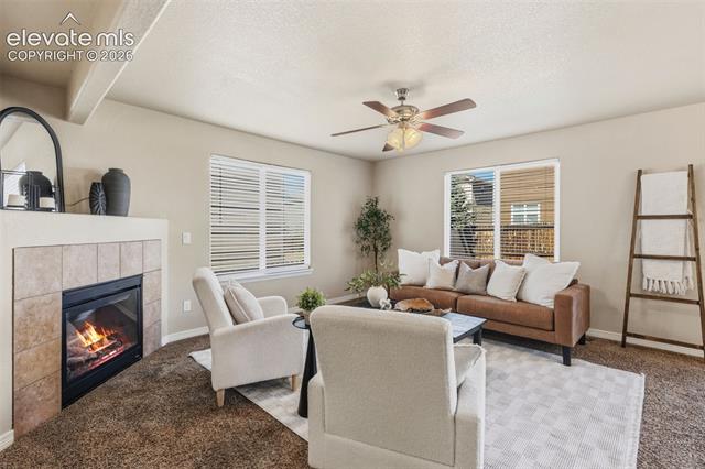 MLS Image for 7916  Lightwood  ,Colorado Springs, Colorado