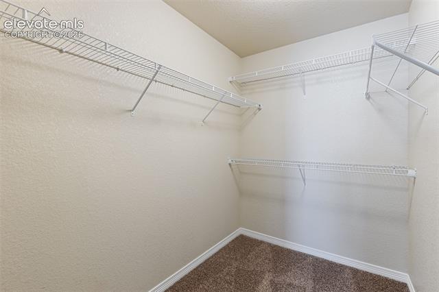 MLS Image for 7916  Lightwood  ,Colorado Springs, Colorado
