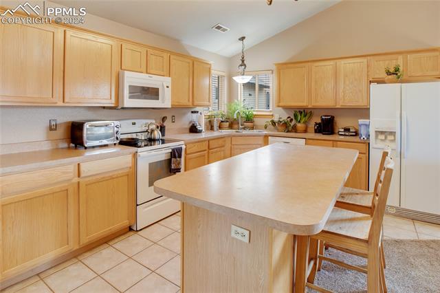 MLS Image for 747  Apache  ,Woodland Park, Colorado