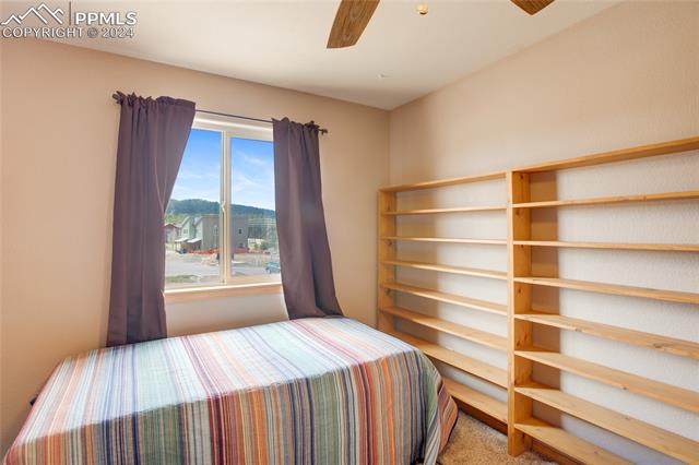 MLS Image for 747  Apache  ,Woodland Park, Colorado