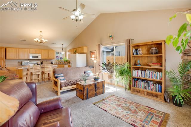 MLS Image for 747  Apache  ,Woodland Park, Colorado