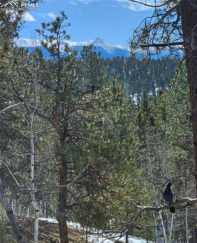 MLS Image for 493  Lost Lake  ,Divide, Colorado