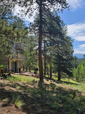 MLS Image for 493  Lost Lake  ,Divide, Colorado