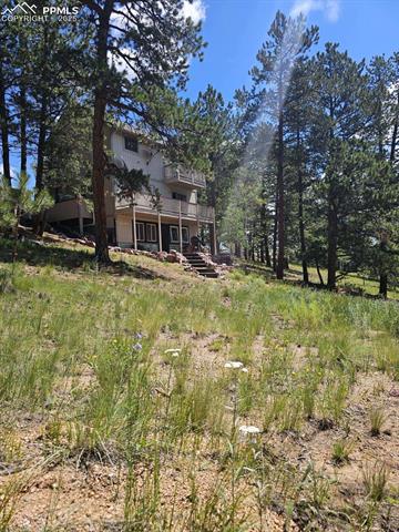 MLS Image for 493  Lost Lake  ,Divide, Colorado